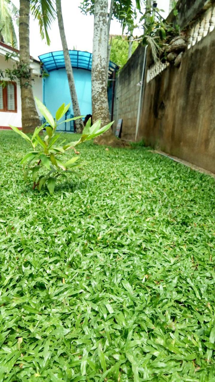 Suriya Homestay Mirissa Exterior foto